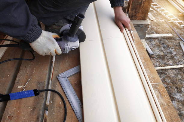Best Brick Veneer Siding  in Watertown, TN