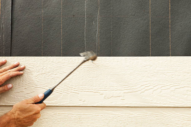 Best Steel Siding Installation  in Watertown, TN